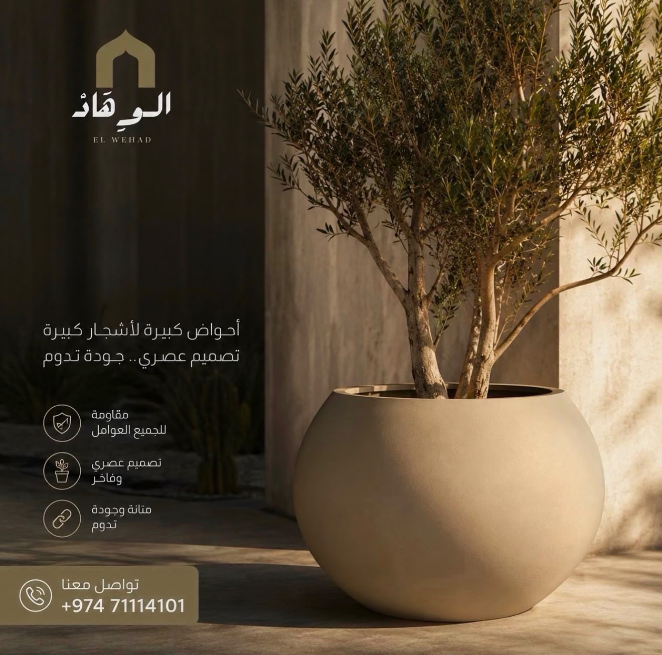 El Wehad gallery 6